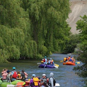 Meet your Posher, Mary pat